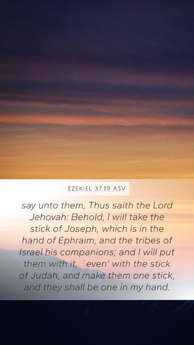 Ezekiel 37:19 ASV Bible Verse Image