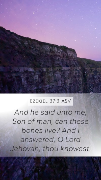 Ezekiel 37:3 ASV Bible Verse Image