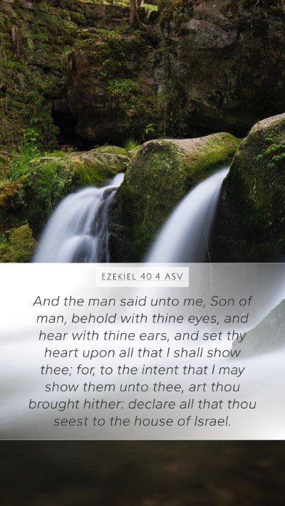 Ezekiel 40:4 ASV Bible Verse Image