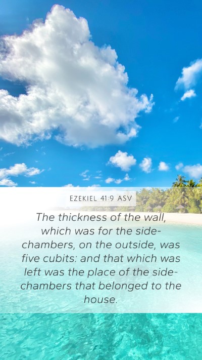 Ezekiel 41:9 ASV Bible Verse Image
