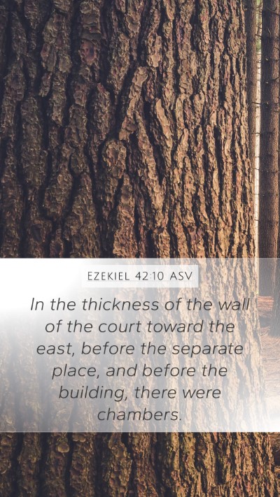 Ezekiel 42:10 ASV Bible Verse Image