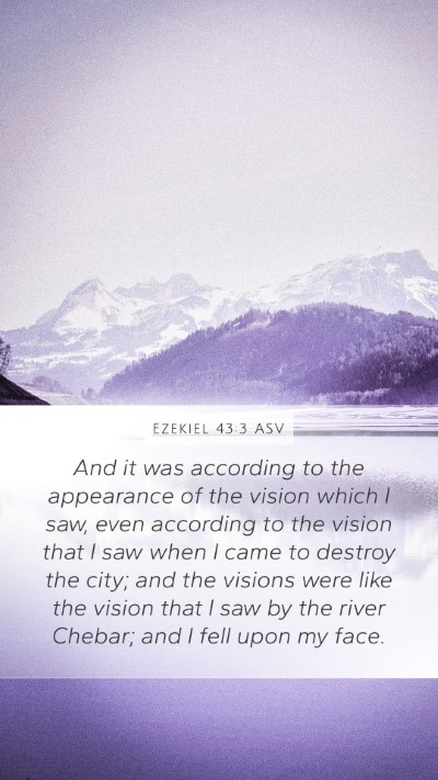 Ezekiel 43:3 ASV Bible Verse Image