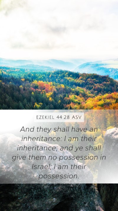 Ezekiel 44:28 ASV Bible Verse Image