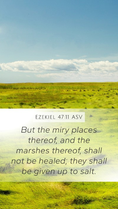Ezekiel 47:11 ASV Bible Verse Image
