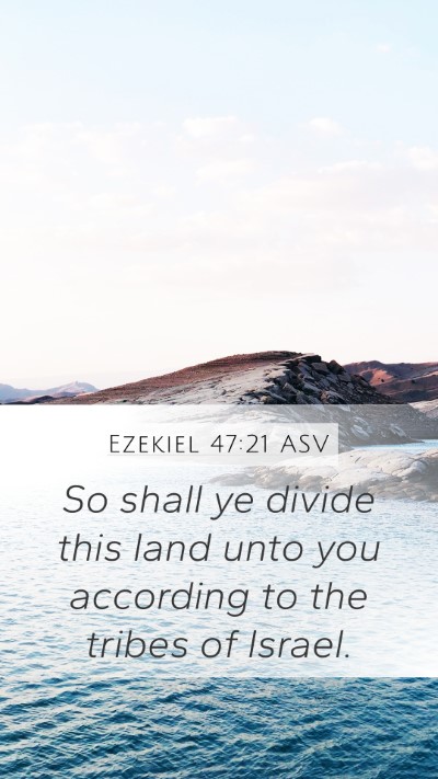 Ezekiel 47:21 ASV Bible Verse Image