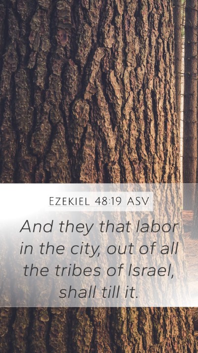 Ezekiel 48:19 ASV Mobile Phone Wallpaper - And they that labor in the city, out of all the - Mobile Bible Verse Wallpaper