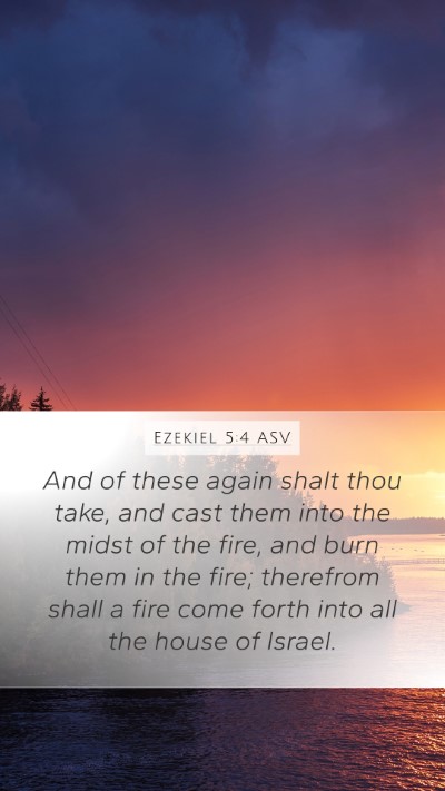 Ezekiel 5:4 ASV Bible Verse Image
