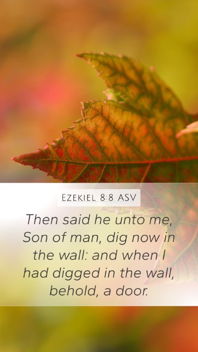 Ezekiel 8:8 ASV Bible Verse Image