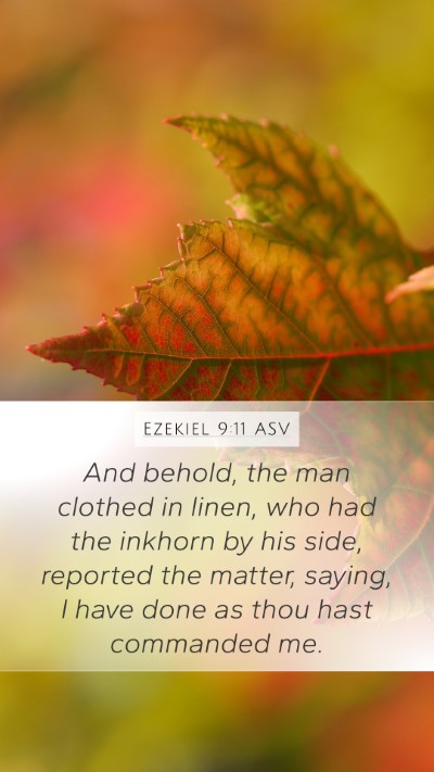 Ezekiel 9:11 ASV Mobile Phone Wallpaper - And behold, the man clothed in linen, who had the - Mobile Bible Verse Wallpaper