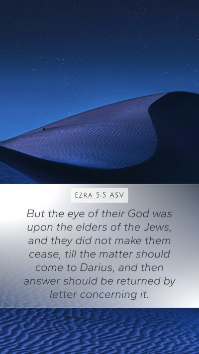 Ezra 5:5 ASV Bible Verse Image