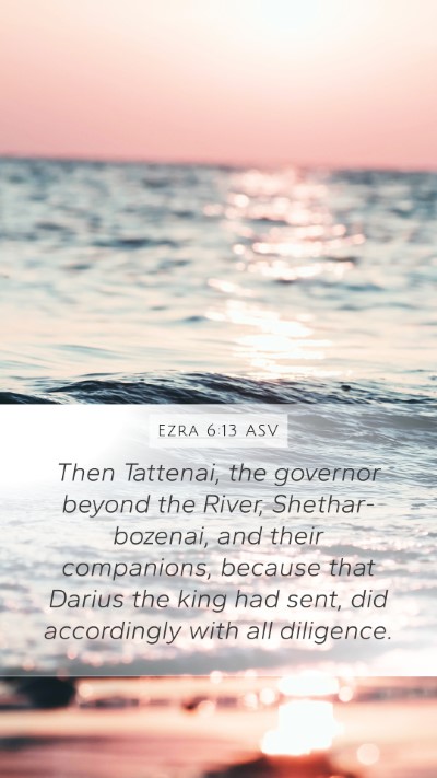 Ezra 6:13 ASV Mobile Phone Wallpaper - Then Tattenai, the governor beyond the River, - Mobile Bible Verse Wallpaper