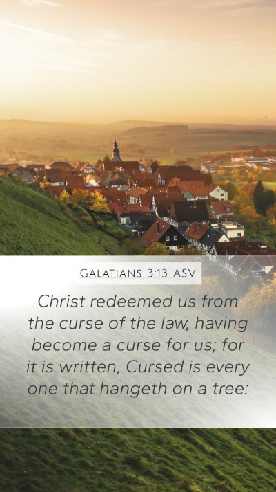 Galatians 3:13 ASV Bible Verse Image