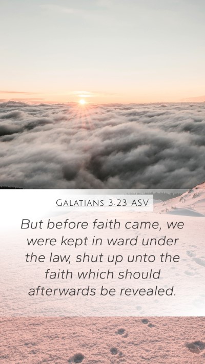 Galatians 3:23 ASV Bible Verse Image