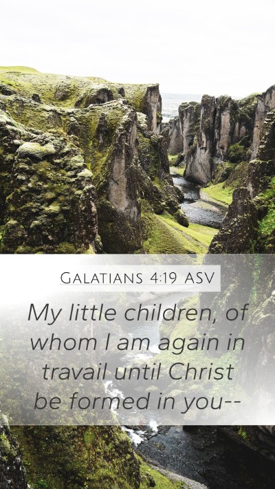 Galatians 4:19 ASV Bible Verse Image