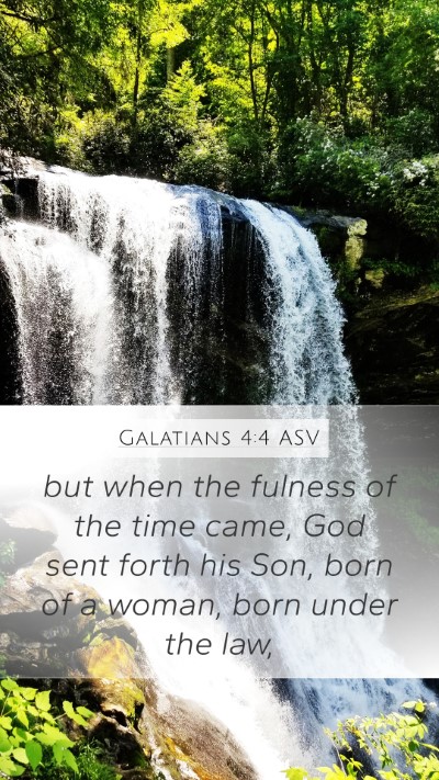 Galatians 4:4 ASV Bible Verse Image