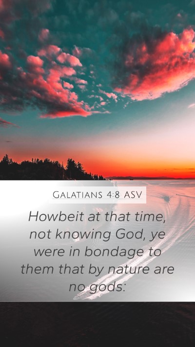 Galatians 4:8 ASV Bible Verse Image