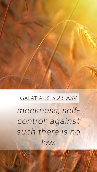 Galatians 5:23 ASV Bible Verse Image