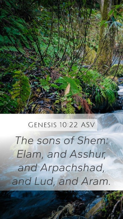 Genesis 10:22 ASV Bible Verse Image