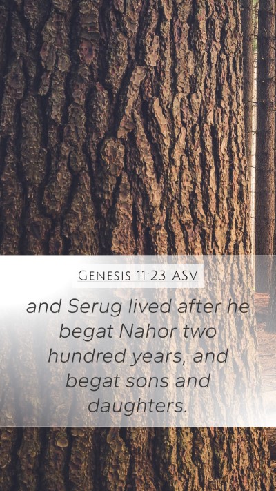 Genesis 11:23 ASV Mobile Phone Wallpaper - and Serug lived after he begat Nahor two hundred - Mobile Bible Verse Wallpaper