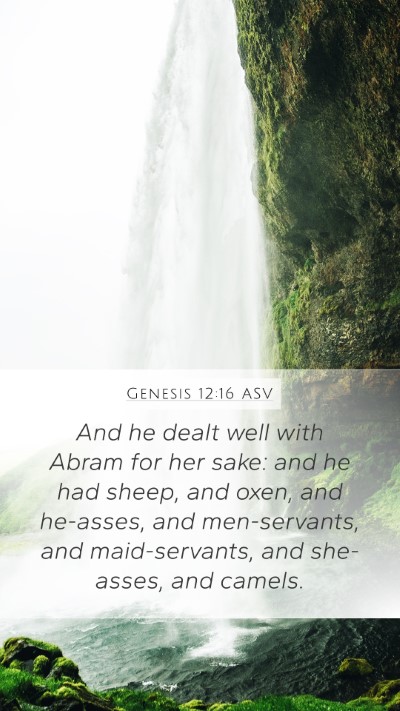 Genesis 12:16 ASV Bible Verse Image