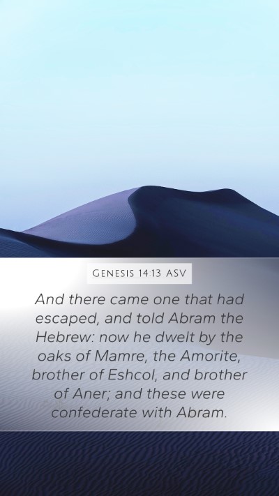 Genesis 14:13 ASV Mobile Phone Wallpaper - And there came one that had escaped, and told - Mobile Bible Verse Wallpaper