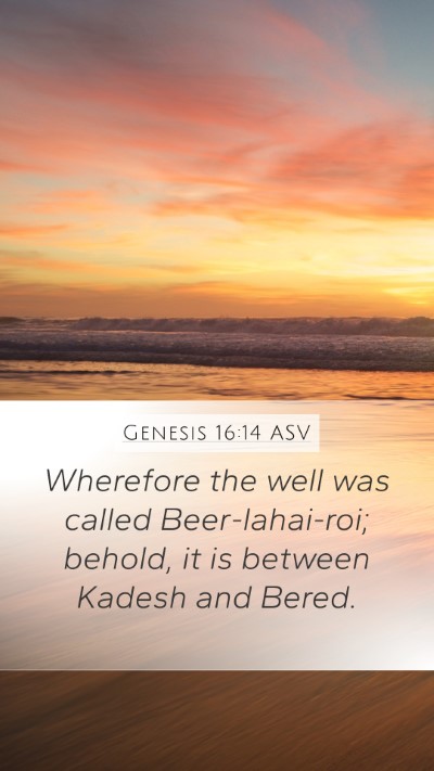 Genesis 16:14 ASV Mobile Phone Wallpaper - Wherefore the well was called Beer-lahai-roi; - Mobile Bible Verse Wallpaper