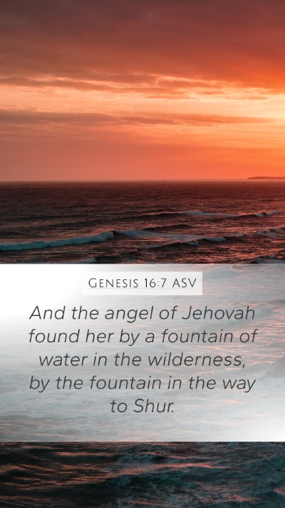 Genesis 16:7 ASV Mobile Phone Wallpaper - And the angel of Jehovah found her by a fountain - Mobile Bible Verse Wallpaper