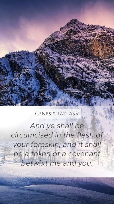 Genesis 17:11 ASV Mobile Phone Wallpaper - And ye shall be circumcised in the flesh of your - Mobile Bible Verse Wallpaper