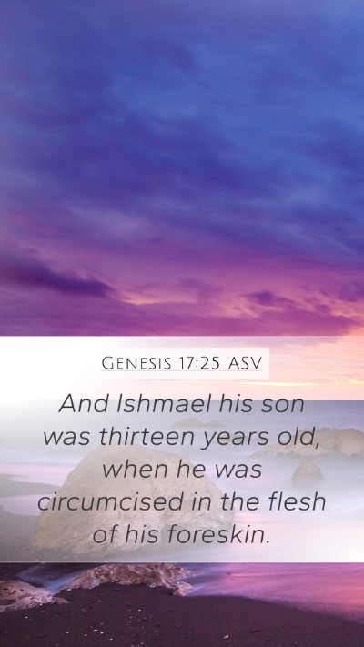 Genesis 17:25 ASV Bible Verse Image