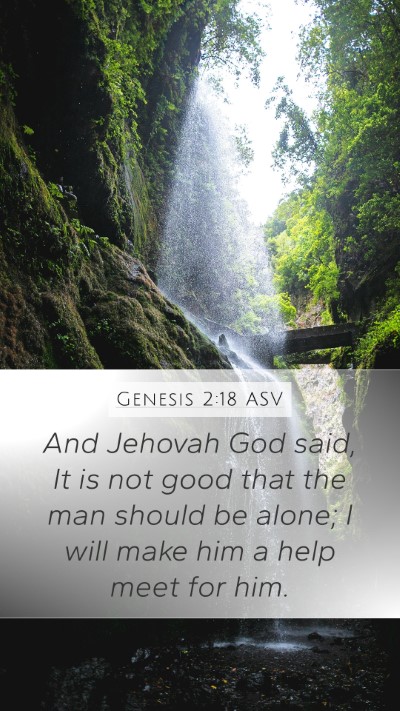 Genesis 2:18 ASV Bible Verse Image