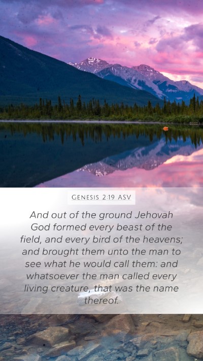 Genesis 2:19 ASV Bible Verse Image