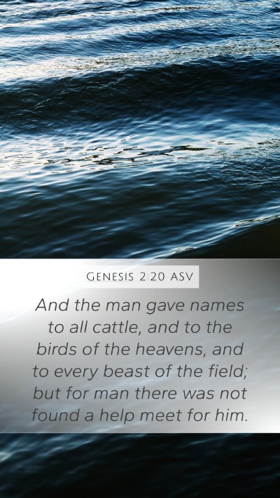 Genesis 2:20 ASV Bible Verse Image