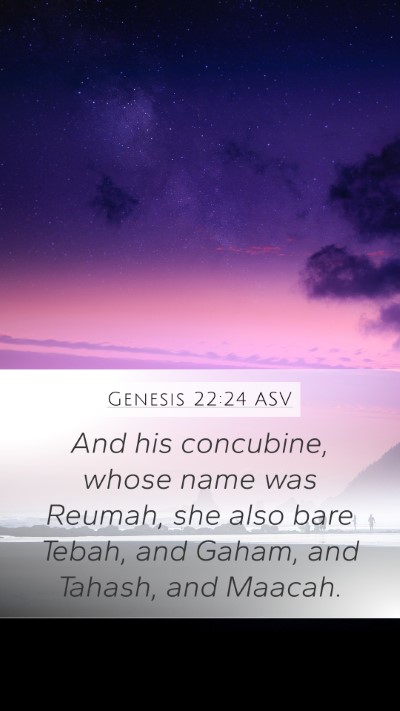 Genesis 22:24 ASV Bible Verse Image