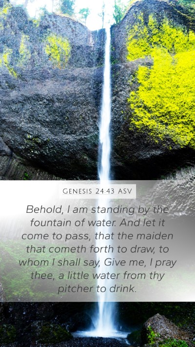 Genesis 24:43 ASV Bible Verse Image