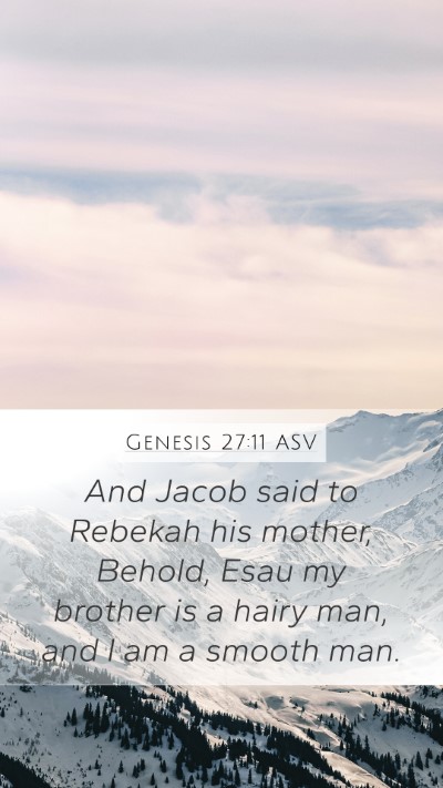 Genesis 27:11 ASV Mobile Phone Wallpaper - And Jacob said to Rebekah his mother, Behold, - Mobile Bible Verse Wallpaper