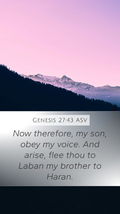 Genesis 27:43 ASV Bible Verse Image