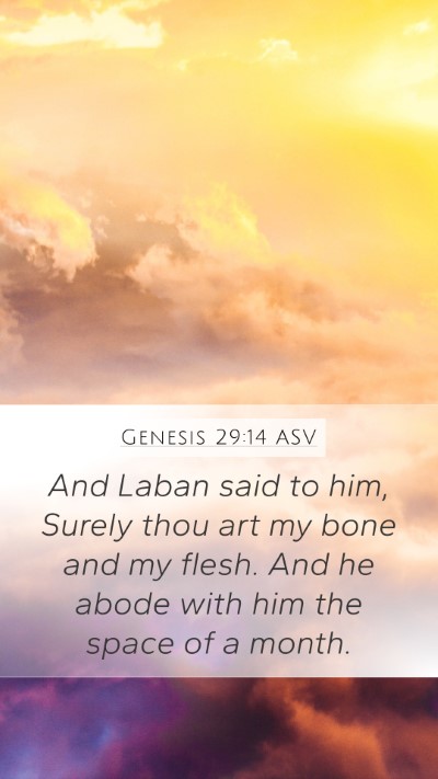 Genesis 29:14 ASV Bible Verse Image