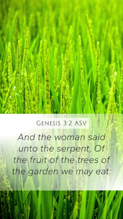 Genesis 3:2 ASV Mobile Phone Wallpaper - And the woman said unto the serpent, Of the fruit - Mobile Bible Verse Wallpaper