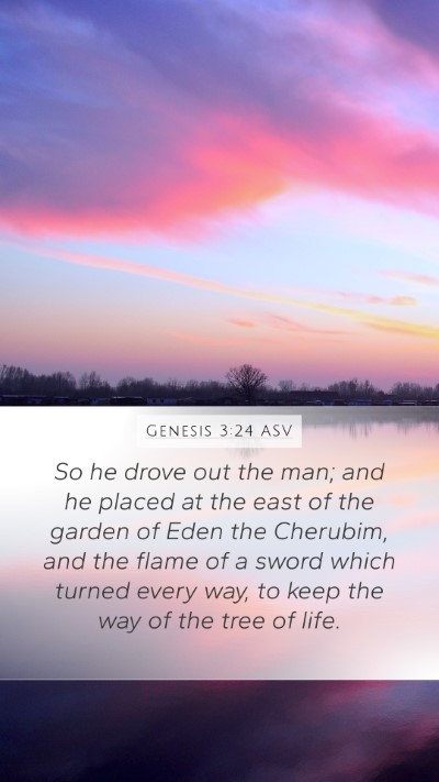 Genesis 3:24 ASV Mobile Phone Wallpaper - So he drove out the man; and he placed at the - Mobile Bible Verse Wallpaper