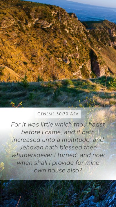 Genesis 30:30 ASV Bible Verse Image