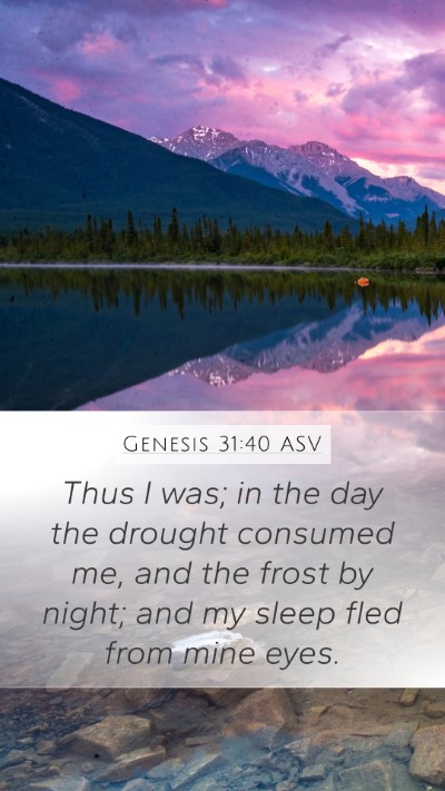 Genesis 31:40 ASV Bible Verse Image