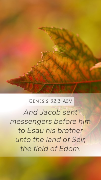 Genesis 32:3 ASV Bible Verse Image