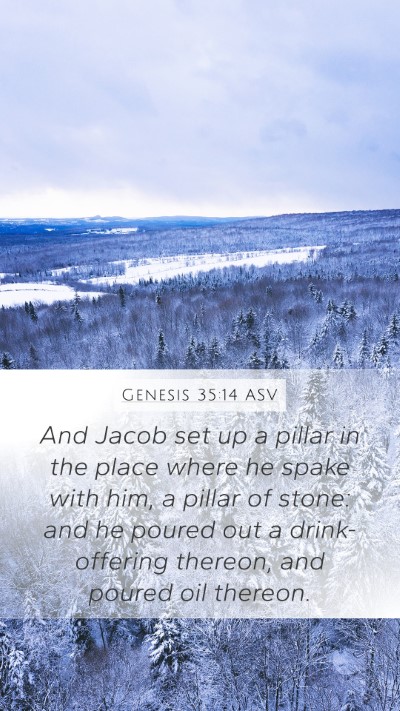 Genesis 35:14 ASV Bible Verse Image