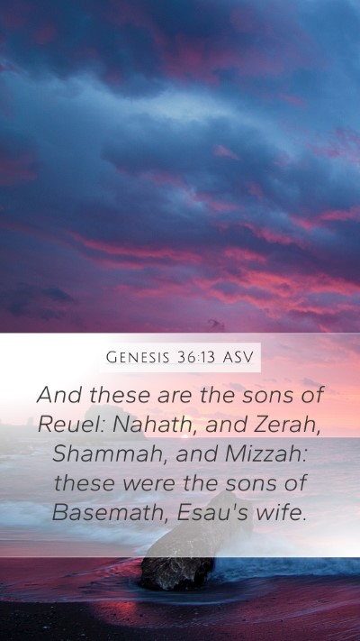 Genesis 36:13 ASV Bible Verse Image