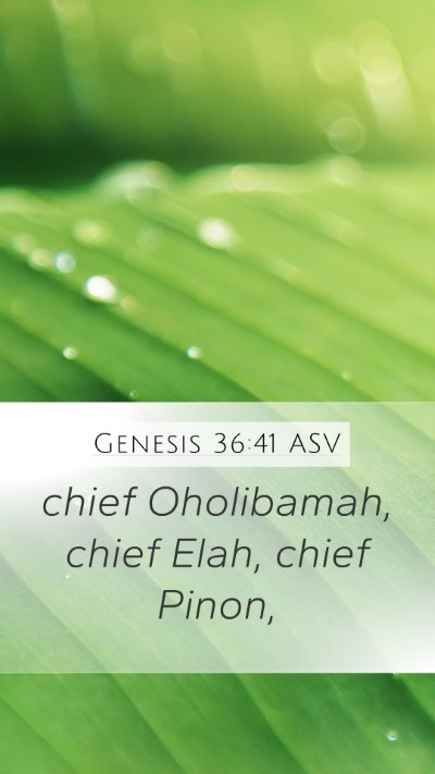 Genesis 36:41 ASV Bible Verse Image