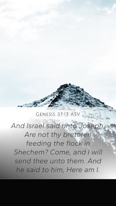 Genesis 37:13 ASV Bible Verse Image