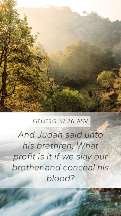 Genesis 37:26 ASV Bible Verse Image