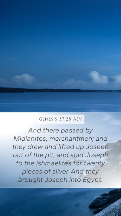 Genesis 37:28 ASV Bible Verse Image