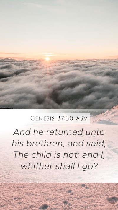 Genesis 37:30 ASV Bible Verse Image