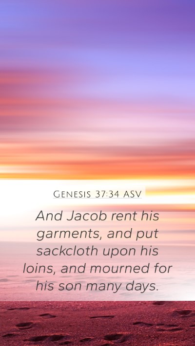 Genesis 37:34 ASV Bible Verse Image